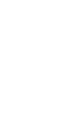 Pedalheads Great Place To Work Award